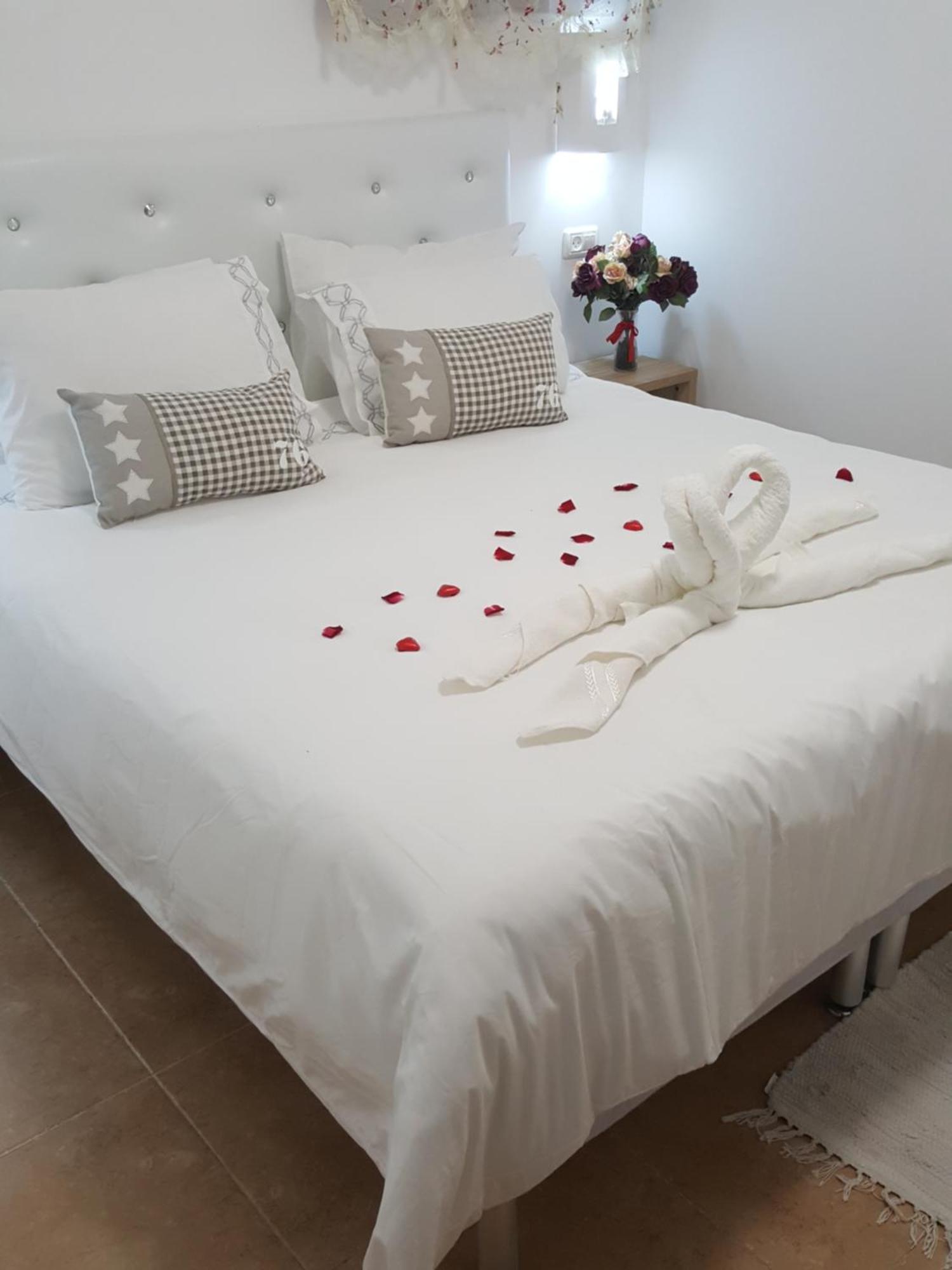 Zimmer Belev Hakikar- Dead Sea Neot HaKikar Extérieur photo